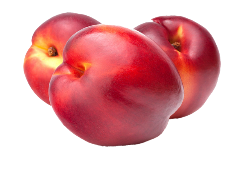 savarella.png