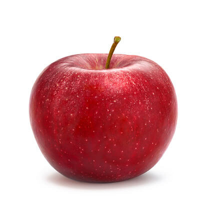 scarlet-spur-.jpeg