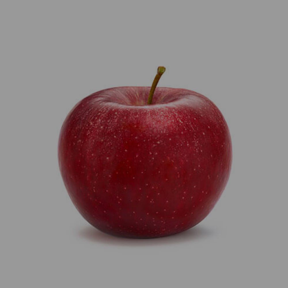 scarlet-spur-thumb.jpg